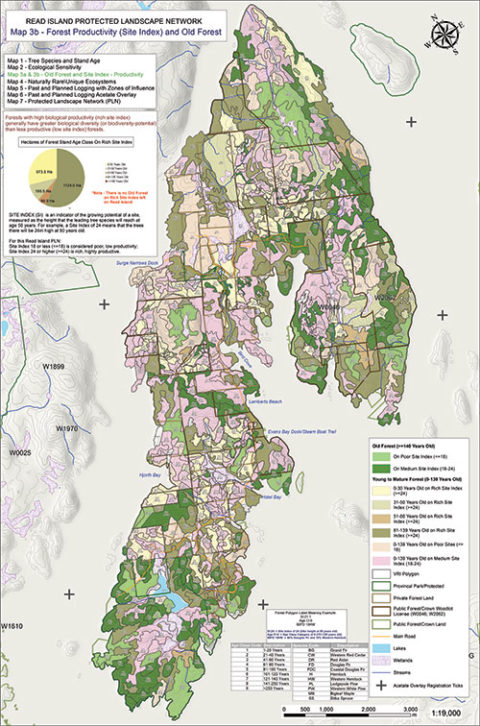 MAP 3b – Forests and Site Index/Productivity | DIEM Project